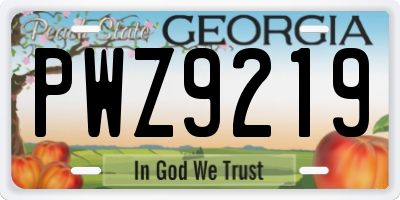 GA license plate PWZ9219