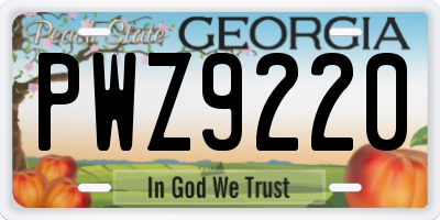 GA license plate PWZ9220