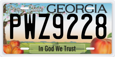 GA license plate PWZ9228