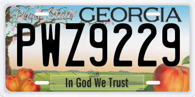 GA license plate PWZ9229