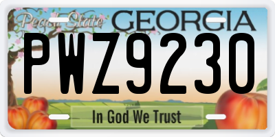 GA license plate PWZ9230