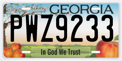 GA license plate PWZ9233