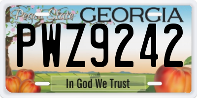 GA license plate PWZ9242