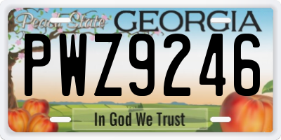 GA license plate PWZ9246