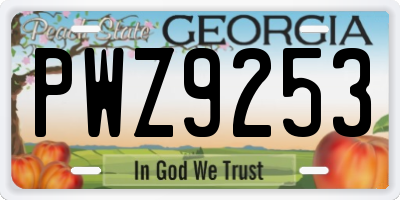 GA license plate PWZ9253