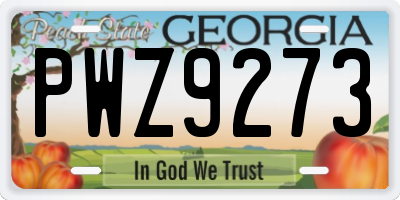 GA license plate PWZ9273