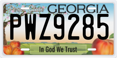 GA license plate PWZ9285