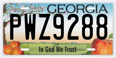 GA license plate PWZ9288