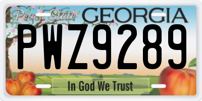 GA license plate PWZ9289