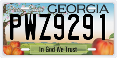 GA license plate PWZ9291