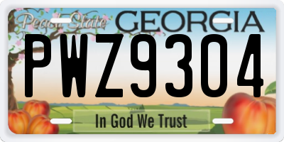 GA license plate PWZ9304