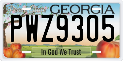 GA license plate PWZ9305