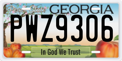 GA license plate PWZ9306