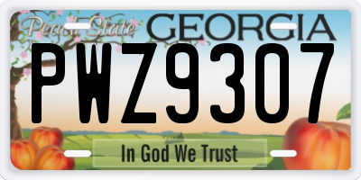 GA license plate PWZ9307