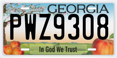 GA license plate PWZ9308