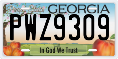 GA license plate PWZ9309