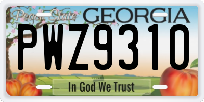 GA license plate PWZ9310