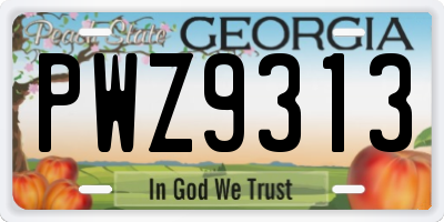 GA license plate PWZ9313