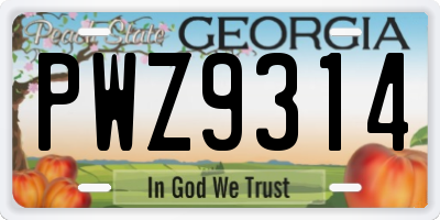 GA license plate PWZ9314