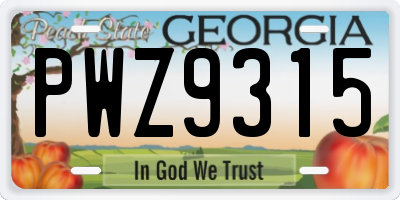 GA license plate PWZ9315