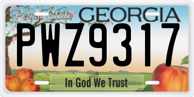 GA license plate PWZ9317