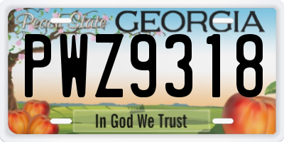 GA license plate PWZ9318