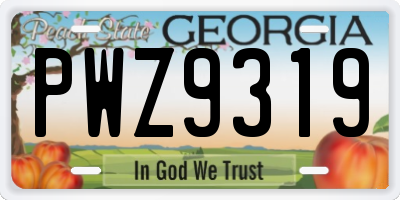 GA license plate PWZ9319