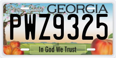 GA license plate PWZ9325