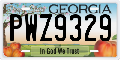 GA license plate PWZ9329