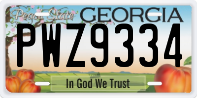 GA license plate PWZ9334