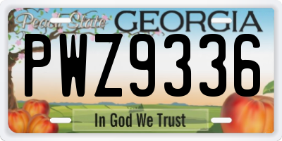 GA license plate PWZ9336