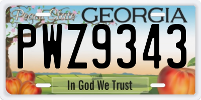 GA license plate PWZ9343
