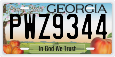GA license plate PWZ9344