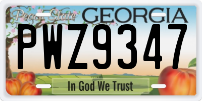 GA license plate PWZ9347