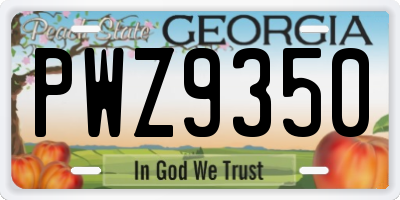 GA license plate PWZ9350