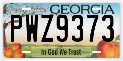 GA license plate PWZ9373