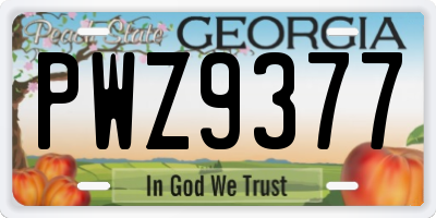 GA license plate PWZ9377