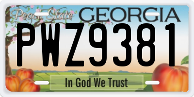 GA license plate PWZ9381