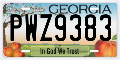 GA license plate PWZ9383