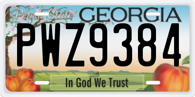 GA license plate PWZ9384