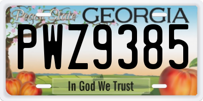 GA license plate PWZ9385