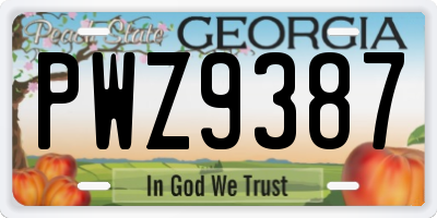 GA license plate PWZ9387