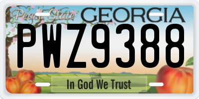 GA license plate PWZ9388