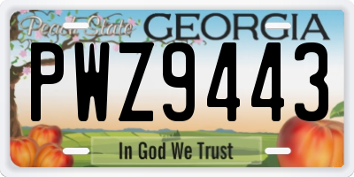 GA license plate PWZ9443
