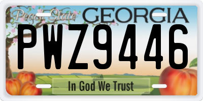 GA license plate PWZ9446