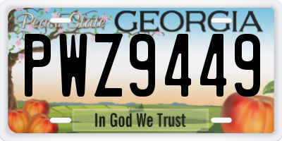 GA license plate PWZ9449
