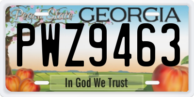 GA license plate PWZ9463