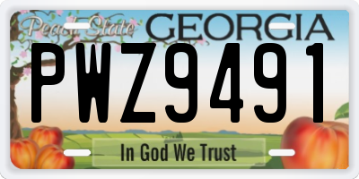 GA license plate PWZ9491