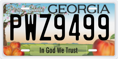 GA license plate PWZ9499