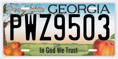 GA license plate PWZ9503